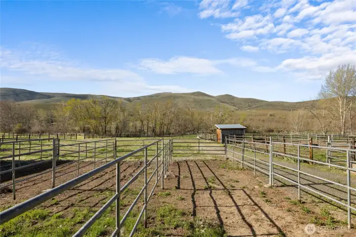 Paddocks off the barn