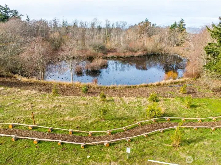 Community pond and walking trail.