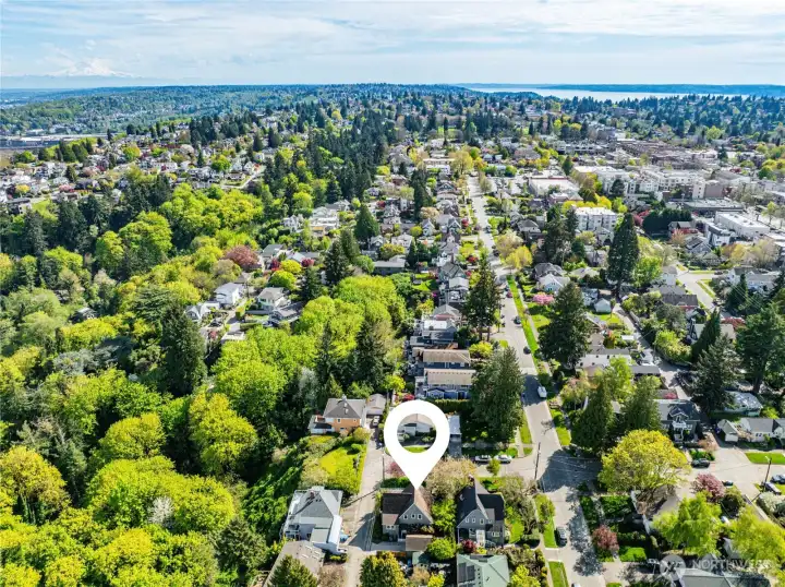 A few blocks down 41st you will find the Metropolitan Market, Starbucks and many neighborhood eateries.  Along California Ave there's more restaurants, shops, and even a movie theater!  Schools and parks are also just a few blocks away as well!