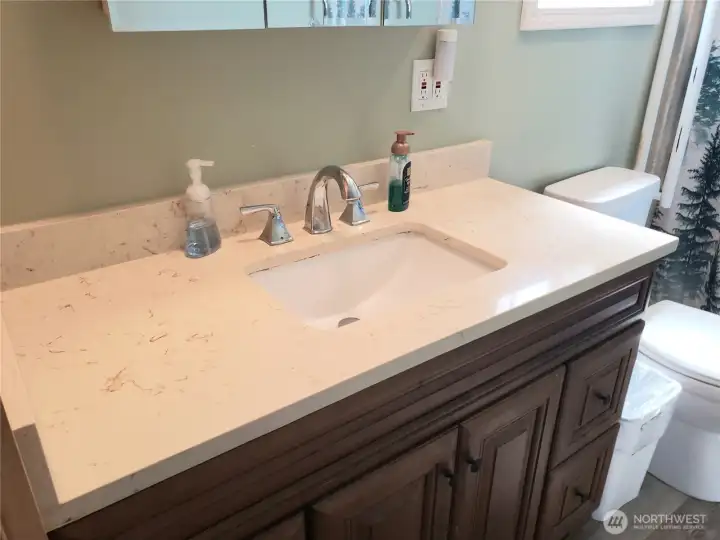 Close up View of the Primary Master Bathroom New Quartz Vanity, Toilet, Interior Paint, Trim and Vinyl Plank Flooring.