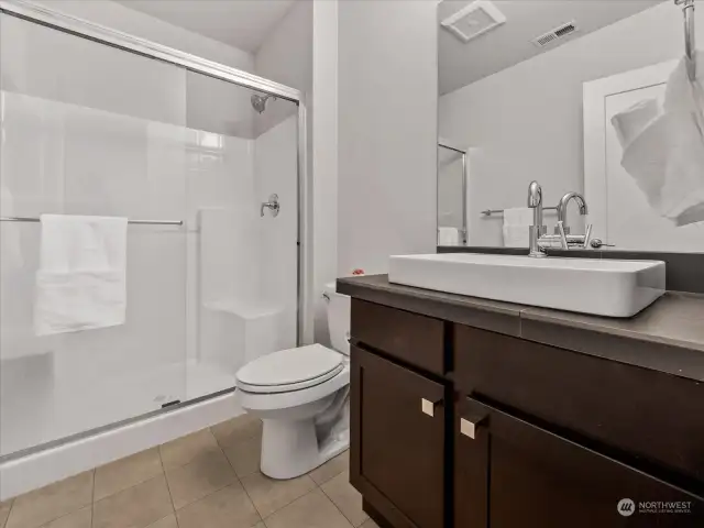 Lower level bathroom