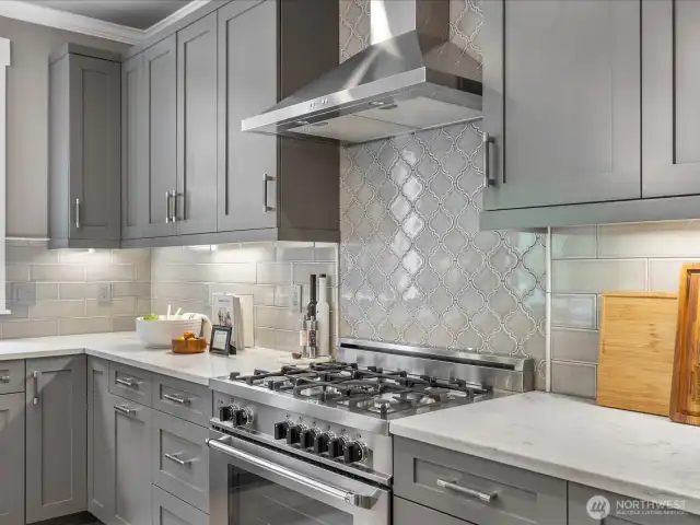 Gas range stove