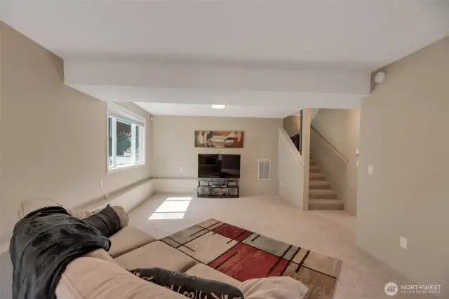 Lower level family room