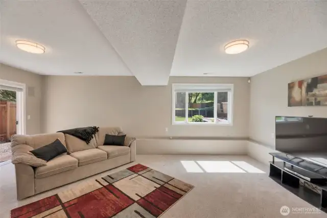 Lower family room