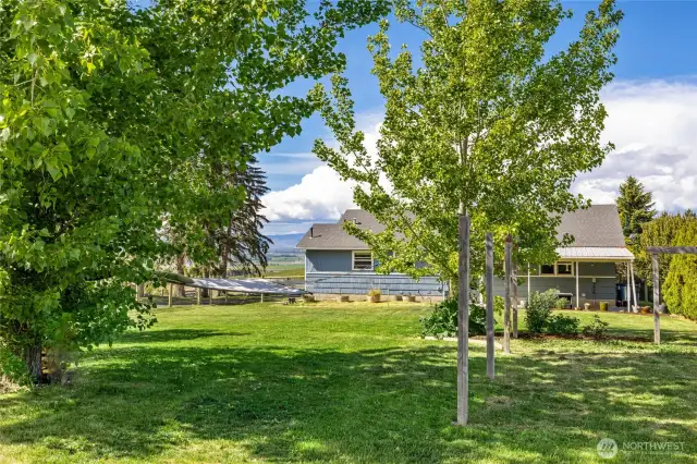 Beautiful back yard, fully fenced with lots of mature landscape.