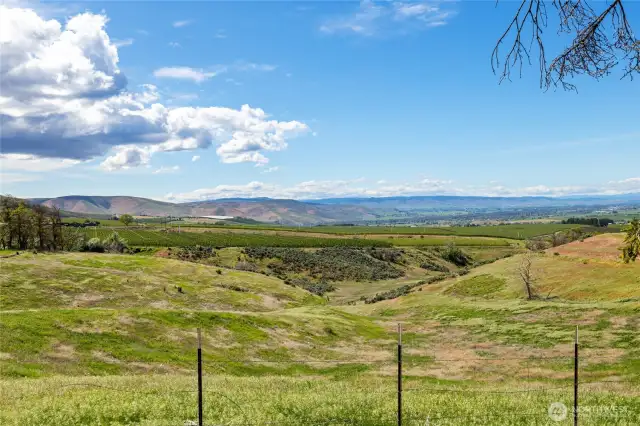 10 acres of pasture complete with pod irrigation systems.