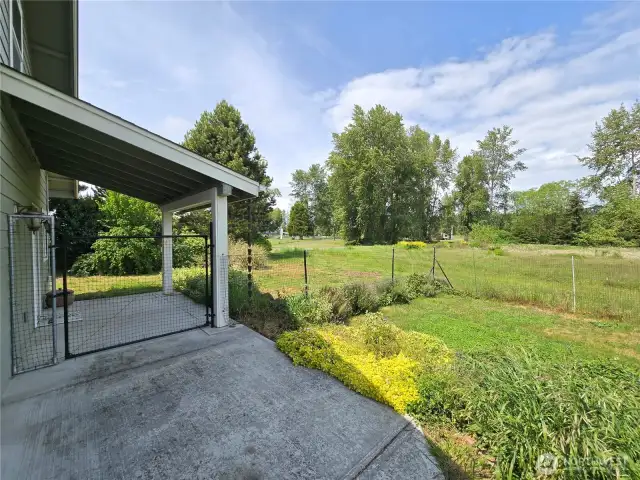 Partially Fenced Backyard