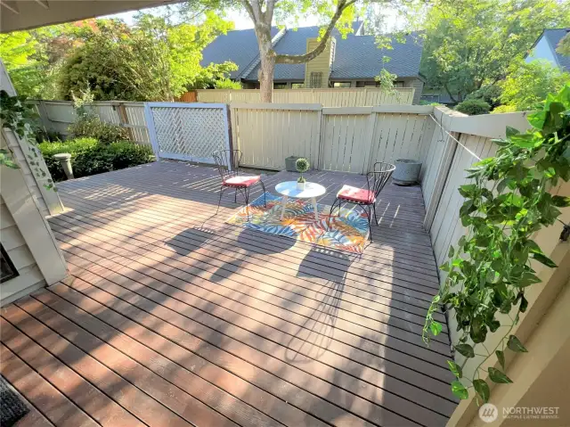 Beautiful backyard