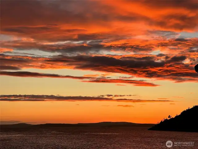 Every night is a new painting!