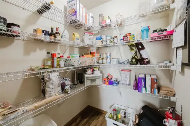 Huge pantry to store all your things.
