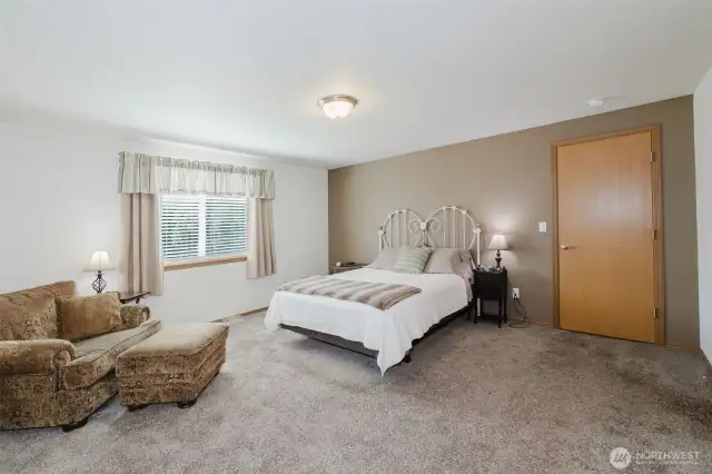 Stately Primary bedroom with western facing window.