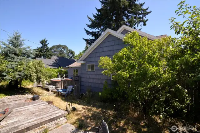 Back yard