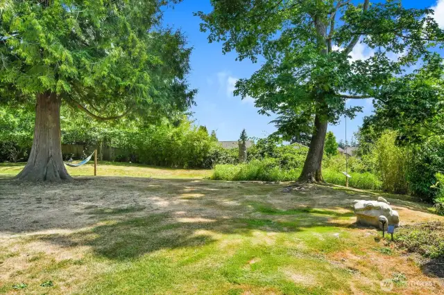 Expansive backyard with shade trees and a classic tree swing.