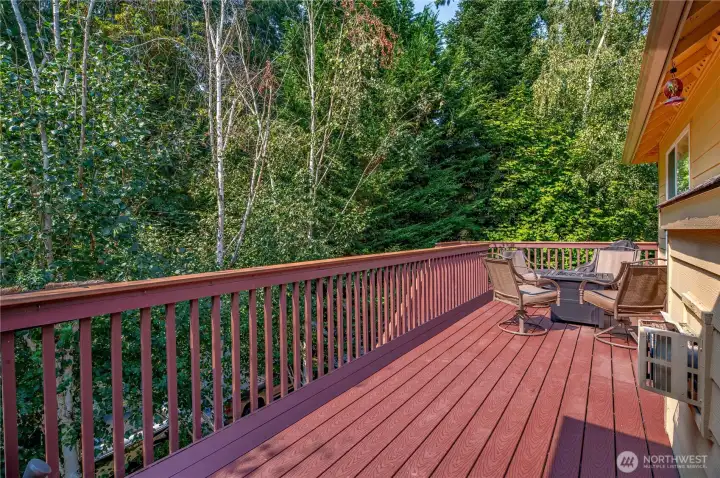 Trex deck large enough for entertaining or private enough for quiet enjoyment