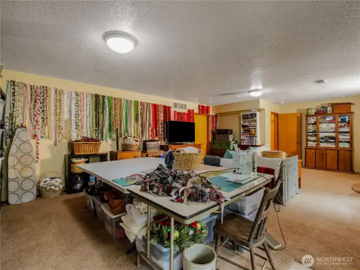 The living room in the daylight basement is large and can house many of your hobbies, activities and more.