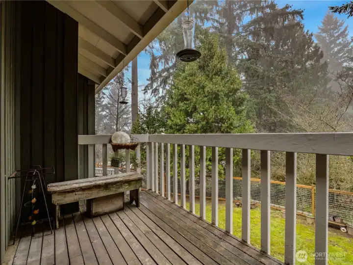 You will see plenty of wildlife in the green area in the back.