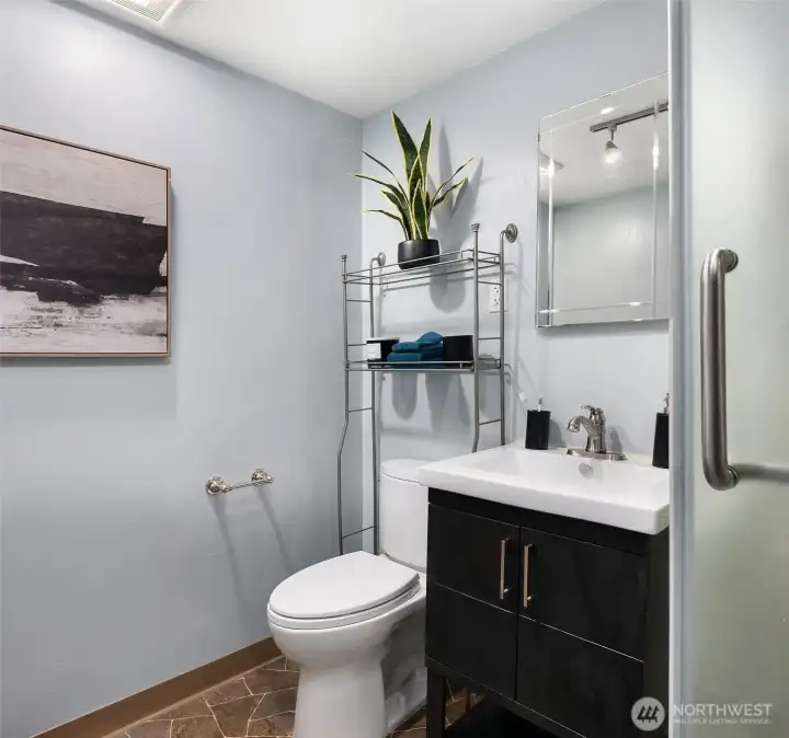 Lower level bathroom with shower