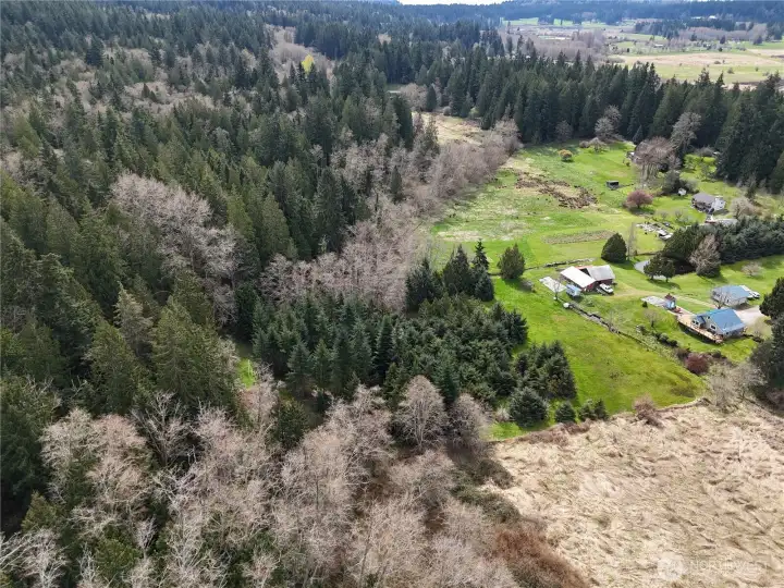 Property includes some of the large trees on the left.