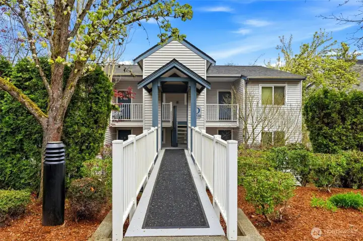 Walkway leading to the front entrance surrounded by mature landscaping