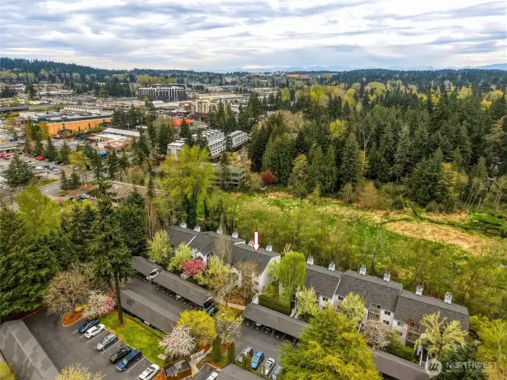 Aerial view showcasing surrounding greenery and neighborhood setting