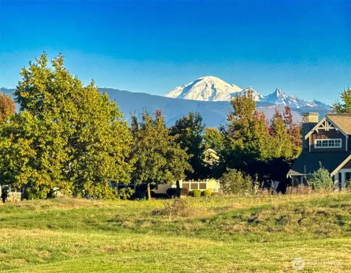 Mountain & Territorial Views