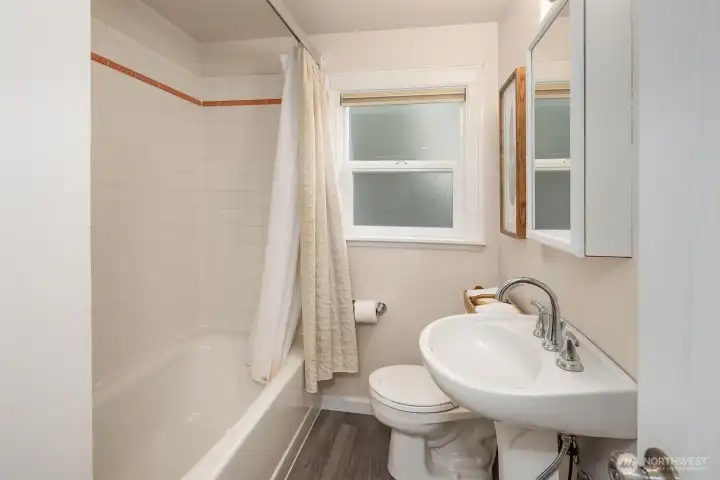 Main floor hall bathroom