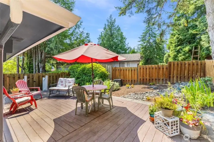 Your own backyard oasis!