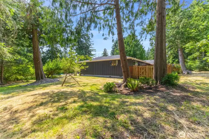 Property line goes beyond the fenced in area.
