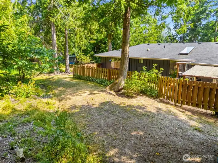 More backyard space.