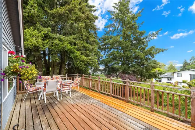 Large entertaining deck with terriorial views