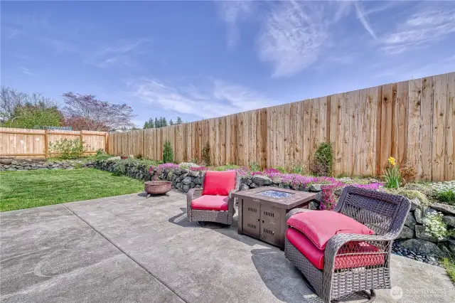 OPen Space Back Yard