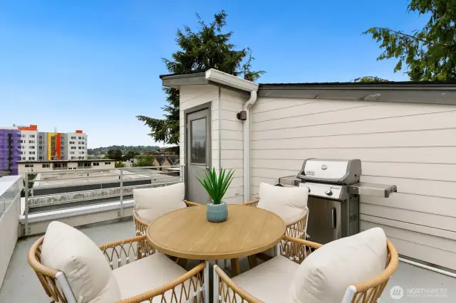 This roof deck is amazingly private. The two townhomes behind here do not have roof decks, and the neighbor to the east has their deck oriented the same way - so you can't see it!