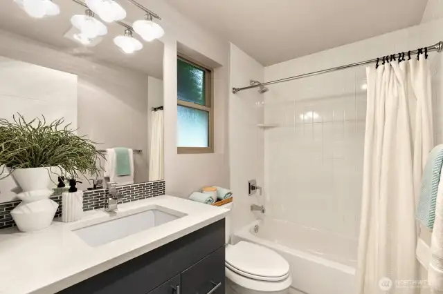 Lower level full bathroom.