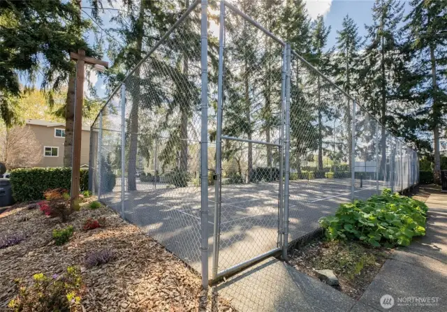 Community sport court