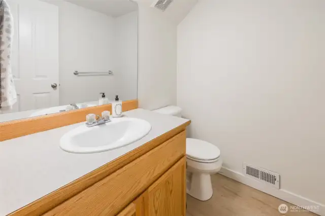 Lower level bathroom for guests