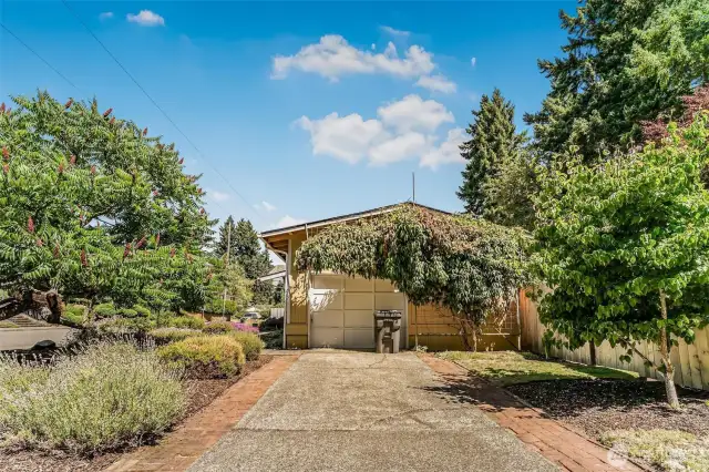 driveway to garage
