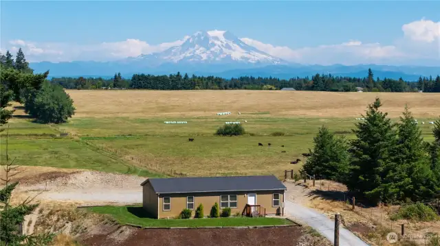 Can't beat that Mt. Rainier view