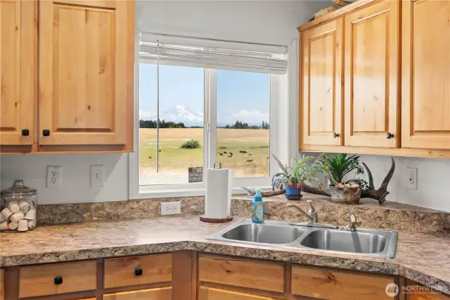 View of the Mountain from the kitchen sink