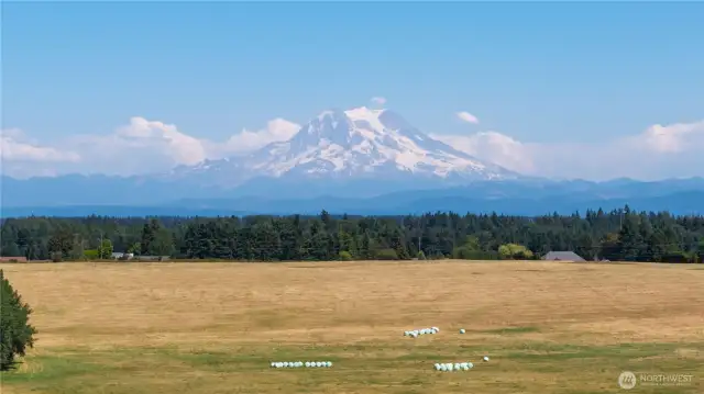 Mt. Rainier in all it's glory
