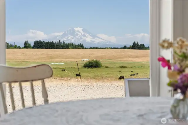 Dinner with the mountain
