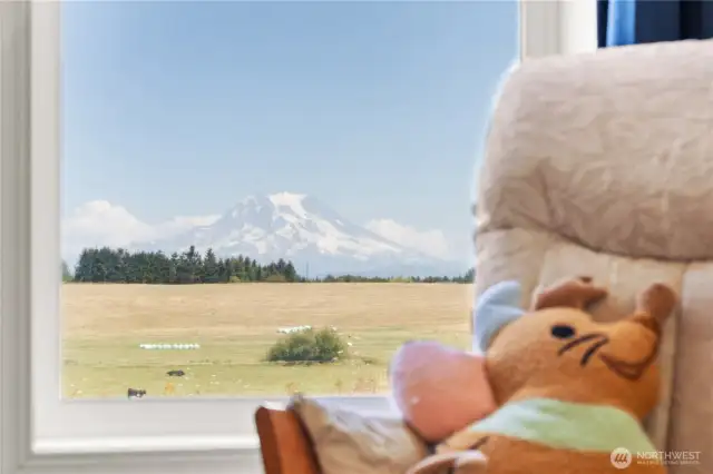 Mountain views from the guest room