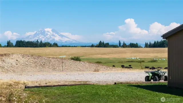 Mt. Rainier looks down on you from almost every corner of the property