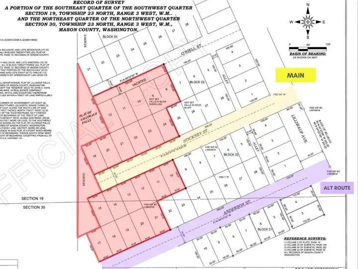 Survey showing underlying lots and streets.