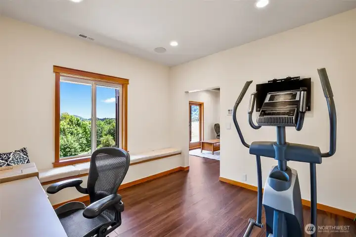 home-gym excercise room or bedroom