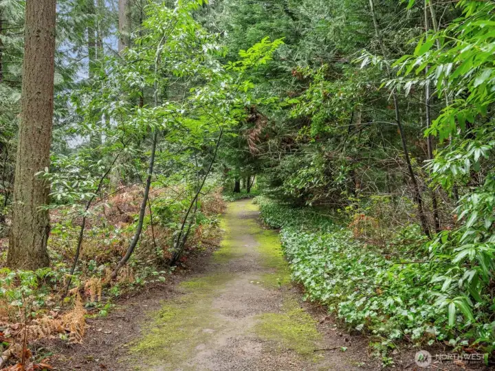 Access to walking trails directly from the fenced yard