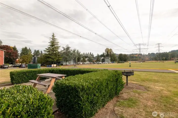 The large, community Park with play area, picnic tables and BBQ's offering room for get togethers and community activities.