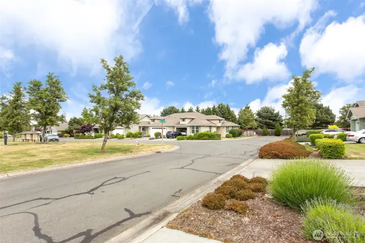 Established neighborhood Established neighborhood
