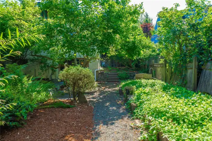 The backyard is a magical one