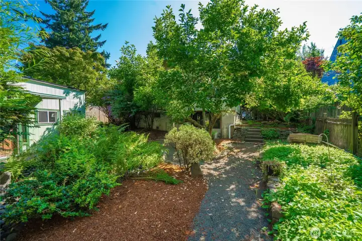 Backyard provides privacy and is well established