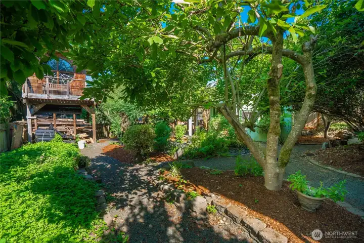 Under the treehouse is also a shed that was used for landscaping equipment